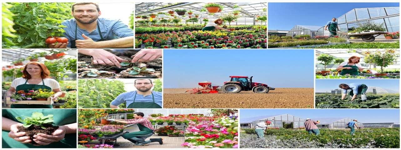 EDI for Nursery and Growers INDUSTRY